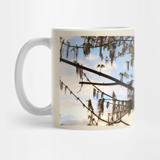 sunset through wind blown tree Mug